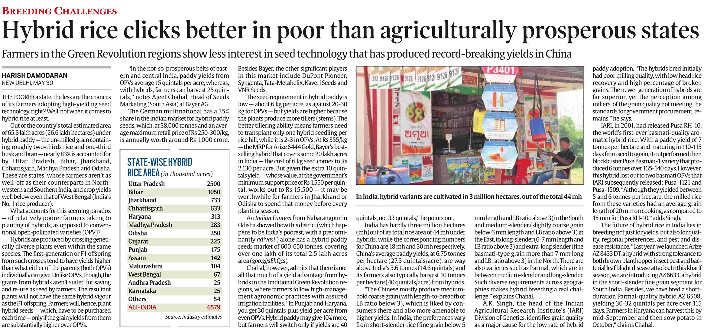 Hybrid-rice