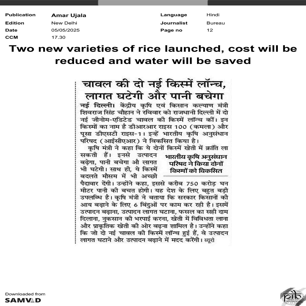 Two new varieties of rice launched, cost will be reduced and water will be saved