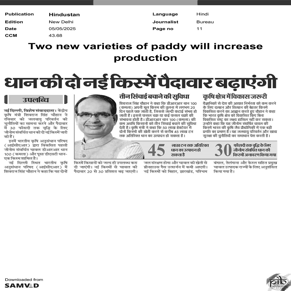 Two new varieties of paddy will increase production