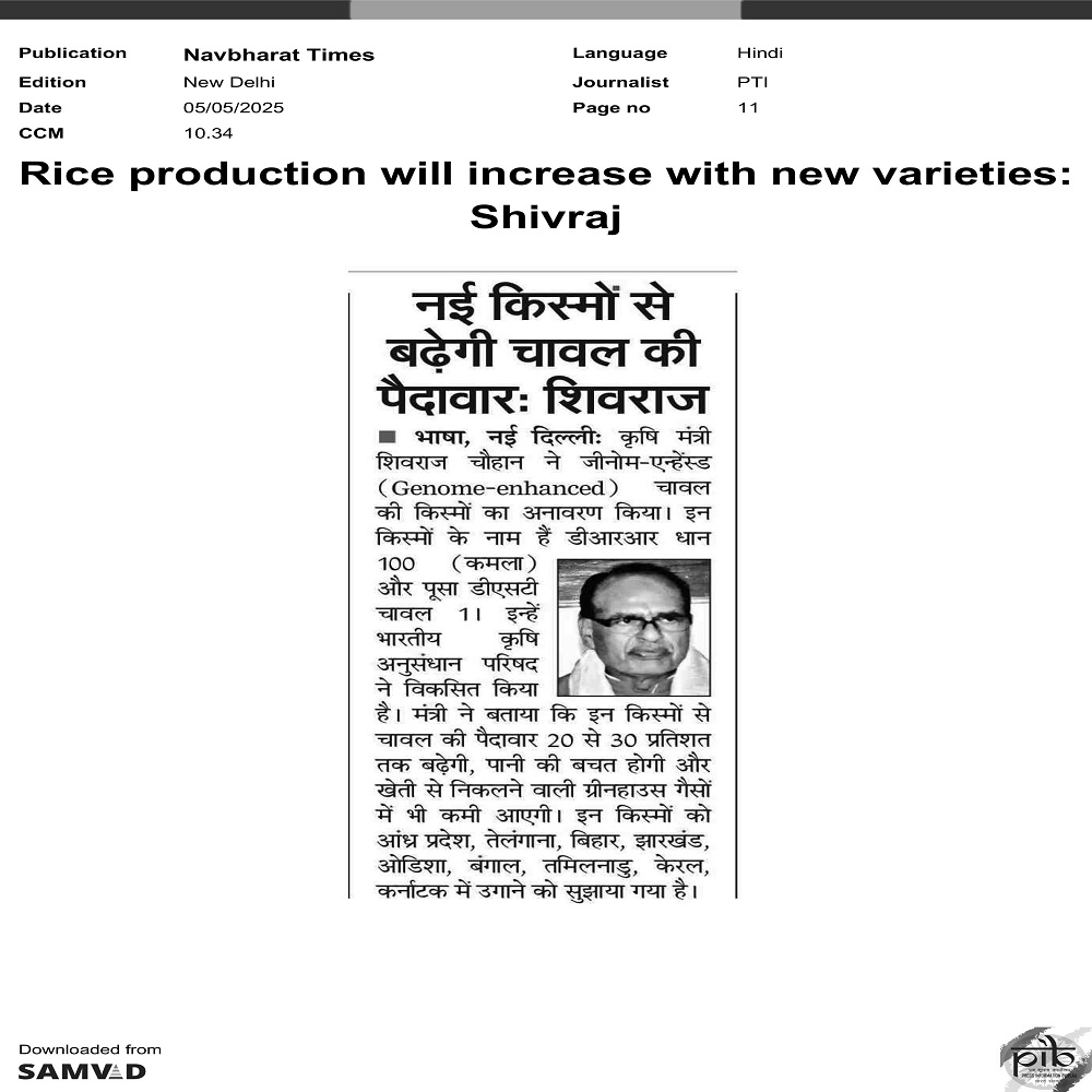 Rice production will increase with new varieties: Shivraj