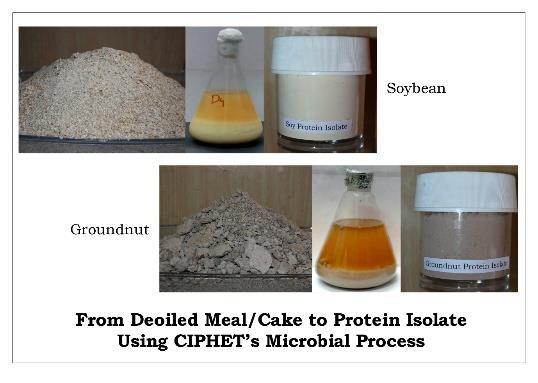 Microbial method for production of protein isolate/concentrate from oilseed cakes/meals