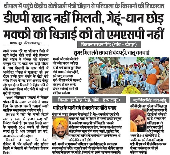 डीएपी खाद नहीं मिलती, गेहूं-धान छोड़ मक्की की बिजाई की तो एमएसपी नहीं