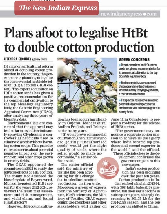 Plans afoot to legalise HtBt to double cotton production