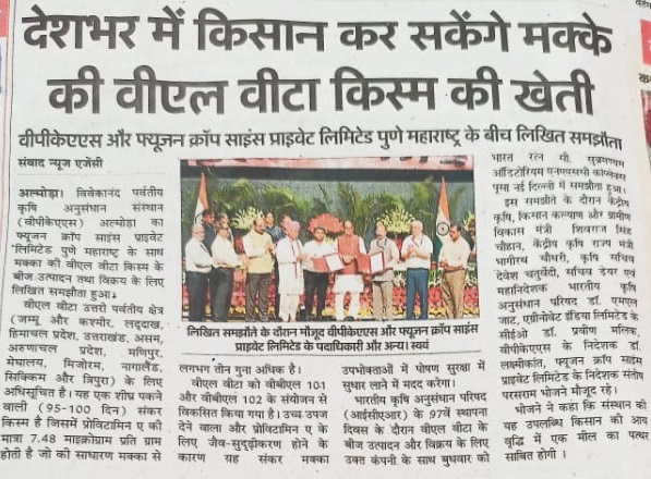 देश भर में किसान कर सकेंगे मक्के की वीएल वीटा किस्म की खेती