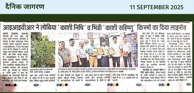 दैनिक जागरण