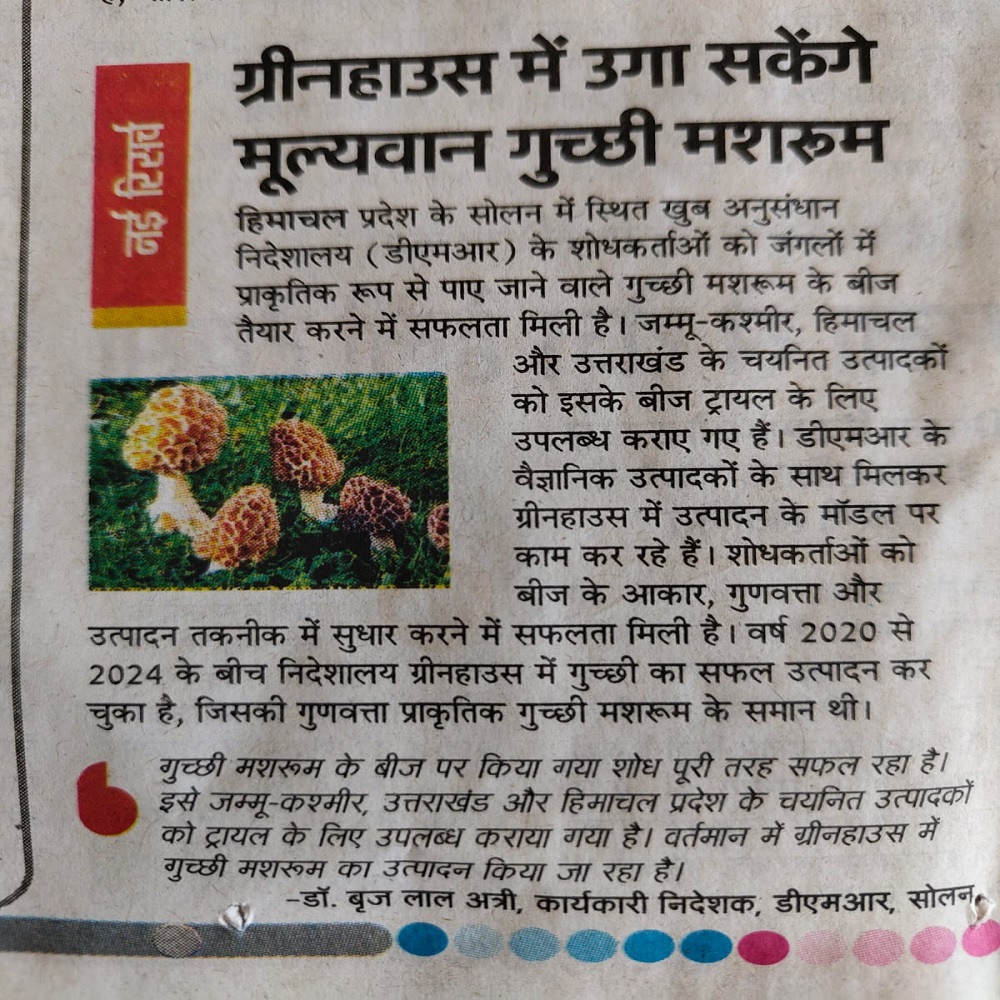 ग्रीनहाउस में उगा सकेंगे मूल्यवान गुच्छी मशरूम