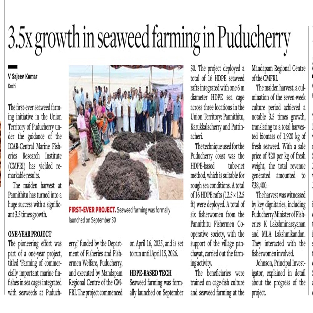 3.5x growth in seaweed farming in Puducherry