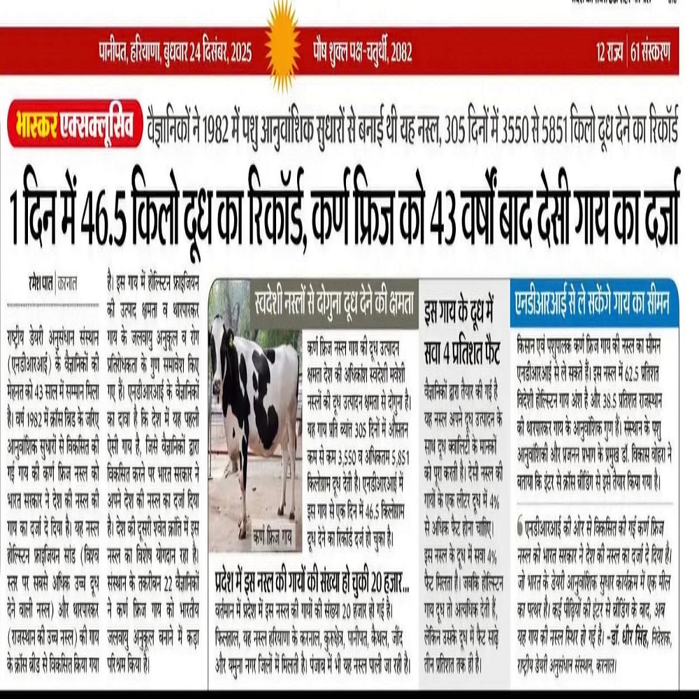 1 दिन में 46.5 किलो दूध का रिकॉर्ड, कर्ण फ्रिज को 43 वर्षोंबाद देसी गाय का दर्जा