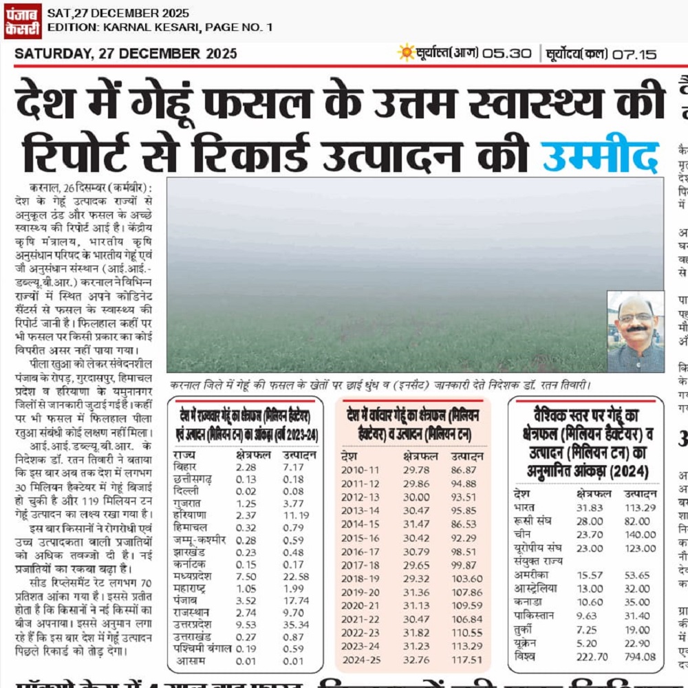 देश में गेहूं फसल के उत्तम स्वास्थ्य की रिपोर्ट से रिकार्ड उत्पादन की उम्मीद