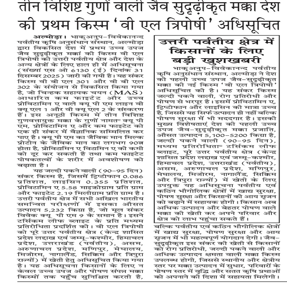 तीन विशिष्ट गुणों वाली जैव सुदृढ़ीकृत मक्का देश की प्रथम किस्म 'वी एल त्रिपोषी' अधिसूचित
