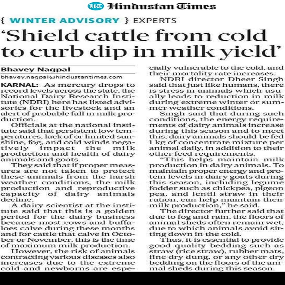 Shield cattle from cold to curb dip in milk yield