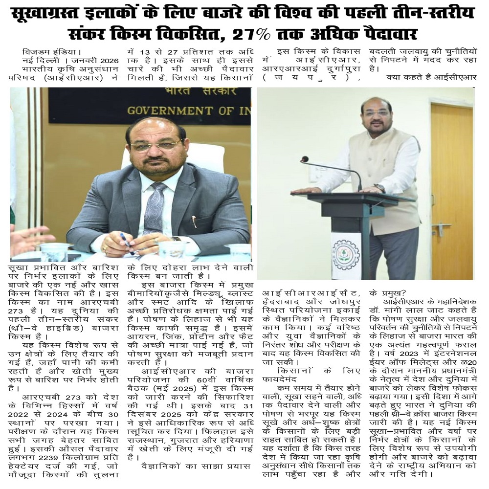 सूखाग्रस्त इलाकों के लिए बाजरे की विश्व की पहली तीन-स्तरीय संकर किस्म विकसित, 27% तक अधिक पैदावार