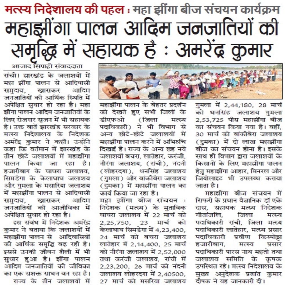 मत्स्य निदेशालय की पहल : महा झींगा बीज संचयन कार्यक्रम महाझींगा पालन आदिम जनजातियों की समृद्धि में सहायक है : अमरेंद्र कुमार