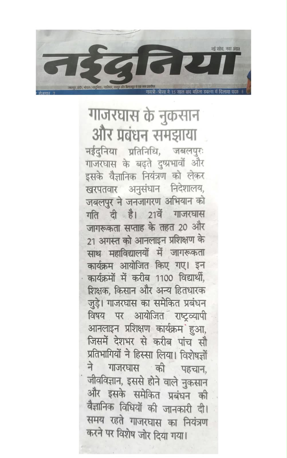 गाजरघास के नुकसान और प्रबंधन समझाया
