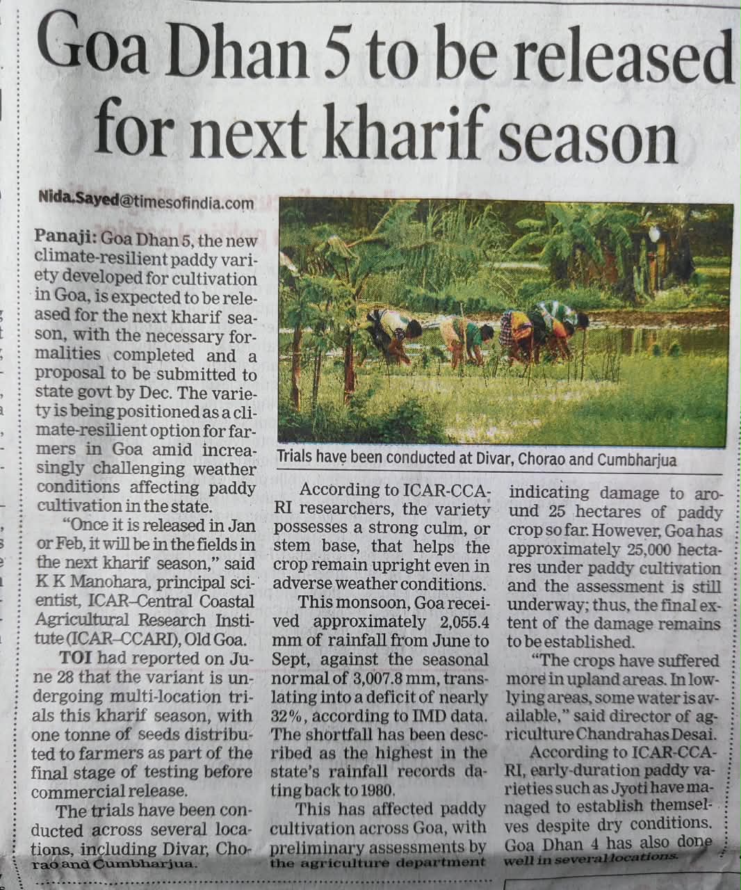 Goa Dhan 5 to be released for next kharif season