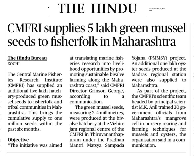 CMFRI supplies 5 lakh green mussel seeds to fisherfolk in Maharashtra