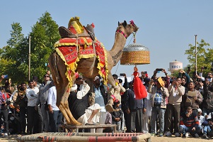 उष्ट्र-करतब-03