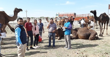 जनजातीय-क्षेत्रों-कृषक-वैज्ञानिक-संवाद-पशु-शिविर-03