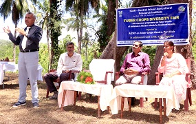 “Tuber Crops Diversity Fair” organized 01