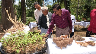 “Tuber Crops Diversity Fair” organized 02