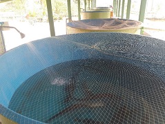 ICAR-CIFA launches Aquaculture Technology Park in Arunachal Pradesh