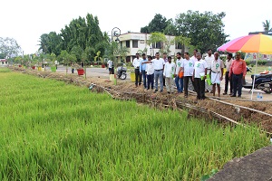 78th-Foundation-Day-NRRI-01