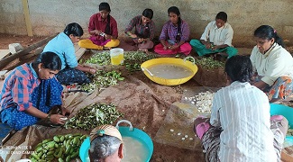 A Silent Revolution in Value-Addition of Banana 02