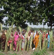 ANIMAL-FEEDING-05-02122019