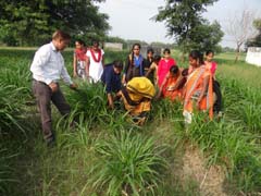 ANIMAL-FEEDING-06-02122019