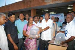 Adult-fishes-Pearlspot-1