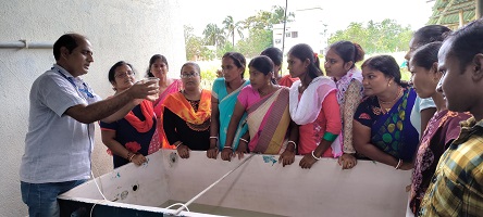 Homestead hatchery based seed production of Bengal Cat Fish (Mystus gulio): a viable livelihood model for landless farm women in the Sunderbans of West Bengal