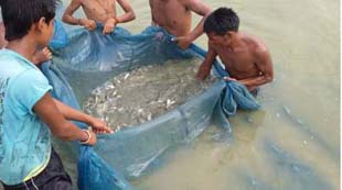 BlueRevolution-01-08042015 