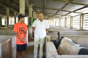 Boosting the Pig Production in Nagaland with Rani Pig 01