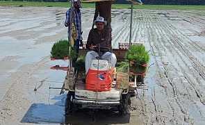 Bridging Rice Yield Gaps through Machine Transplanting of Rice (MTR) 02