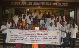 Cashew-ICAR-DCR-01_2