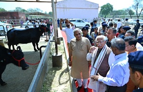 Chief Minister, Government of Haryana visits ICAR-CIRB, Hisar 01