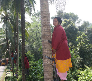 Coconut-Plucking-ss-23-01-2012-1