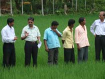 DDG & ZPD at farmers field.jpg 