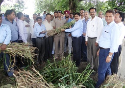 DFA-01-13092018 (1).jpg