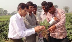 Diagnostic-Visit-at-farmer-field