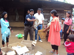 Distribution-of-seed-stock-s