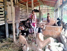 Doubling of Income through I.F.S. by a Tribal Women 02