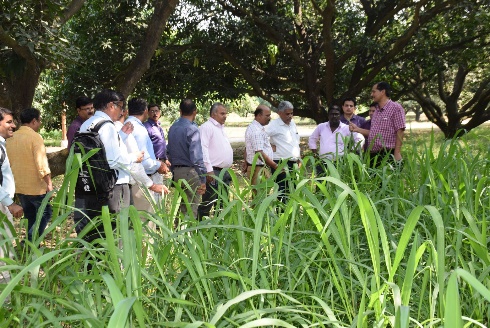 FF-workshops-21-11-2017-5