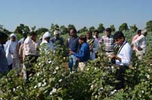 Farmers-Scientist-Interaction-in-Field-at-KVK-Model-Farm-KVK-Kutch-I2