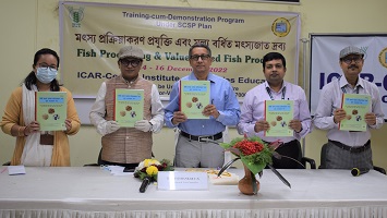 Fish-Processing-Value-added-fish-01