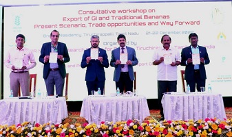 GI-bananas-ICAR-NRCB-03