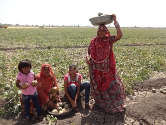 Grassroots Creativity and Institutional Knowledge Improve Farmers’ Livelihood Resilience: A Tale of Success from Pali, Rajasthan