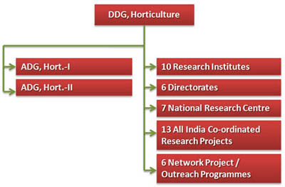 Horticulture-Organizational-Structure-s