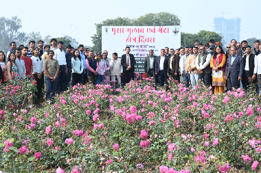 ICAR-IARI organizes Rose and Marigold Field Day