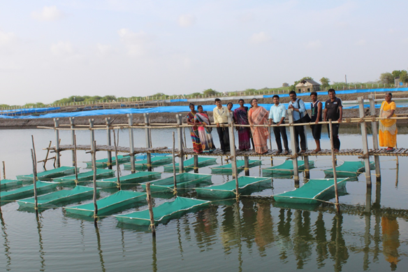 ICAR-CIBA_conducted_Training-3